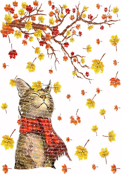 A5 Notebook Wraps-W-64